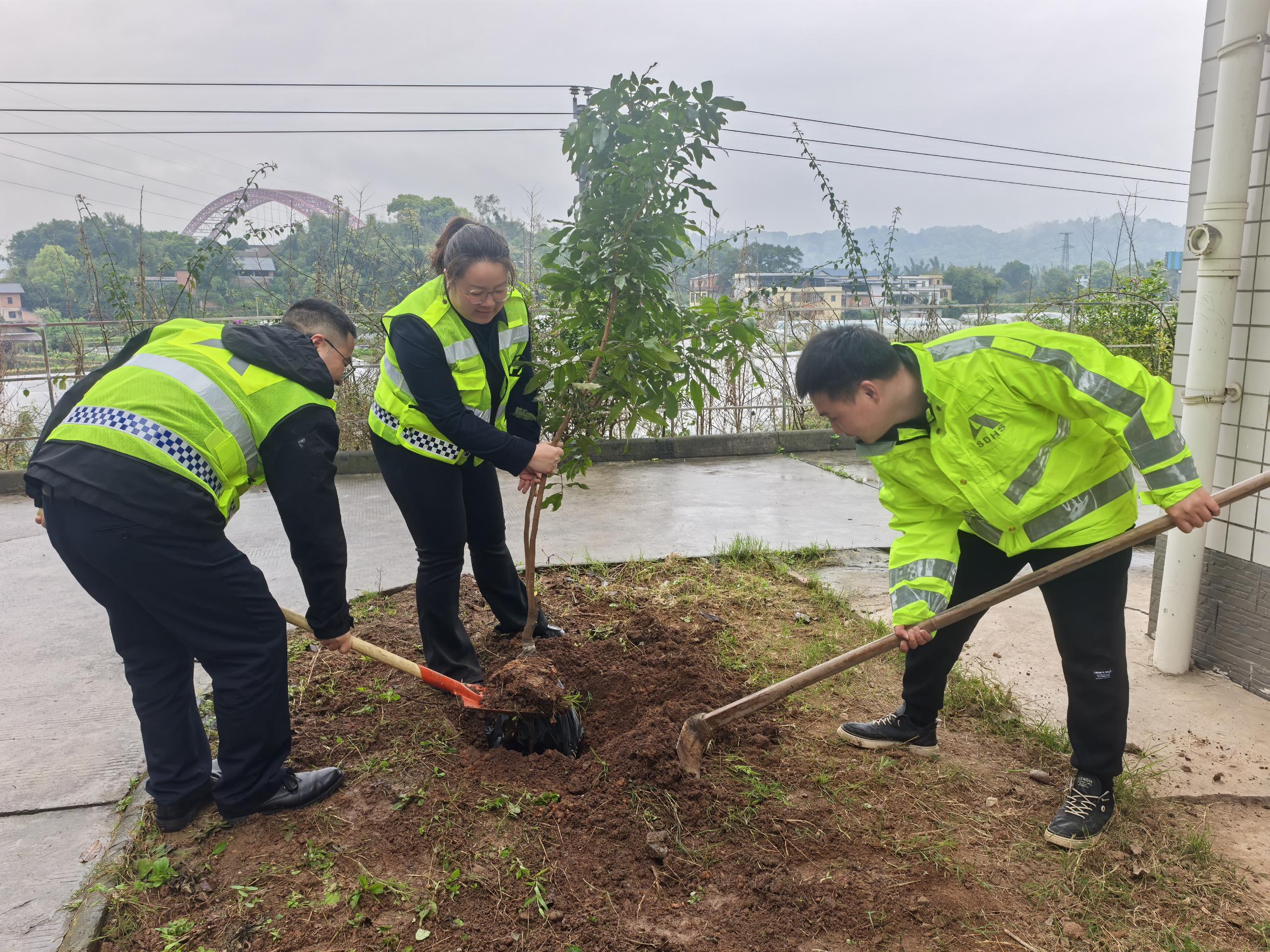 图片1.jpg 图片1.jpg